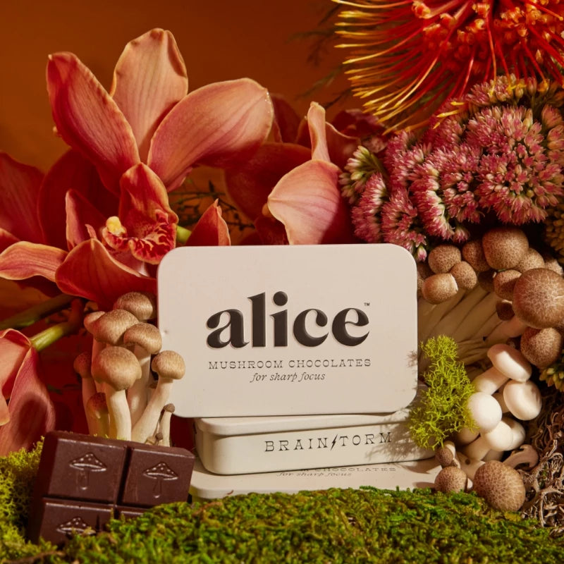 
                      
                        Alice | Brainstorm Mushroom Chocolate
                      
                    